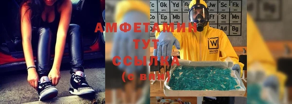 индика Верхний Тагил