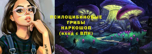 PSILOCYBIN Володарск