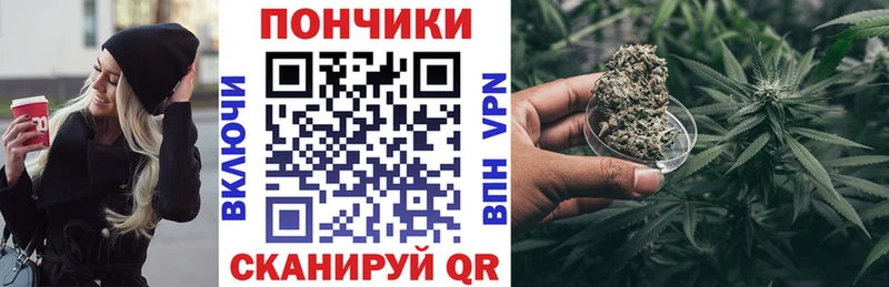 купить  цена  Инсар  OMG ONION  Канабис SATIVA & INDICA 